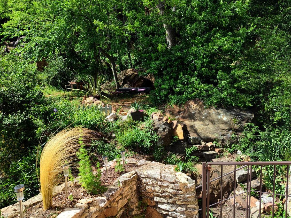Un Pied Dans La Foret La Capelle-et-Masmolene Exterior foto